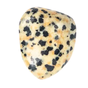 Dalmatian Jasper Stone