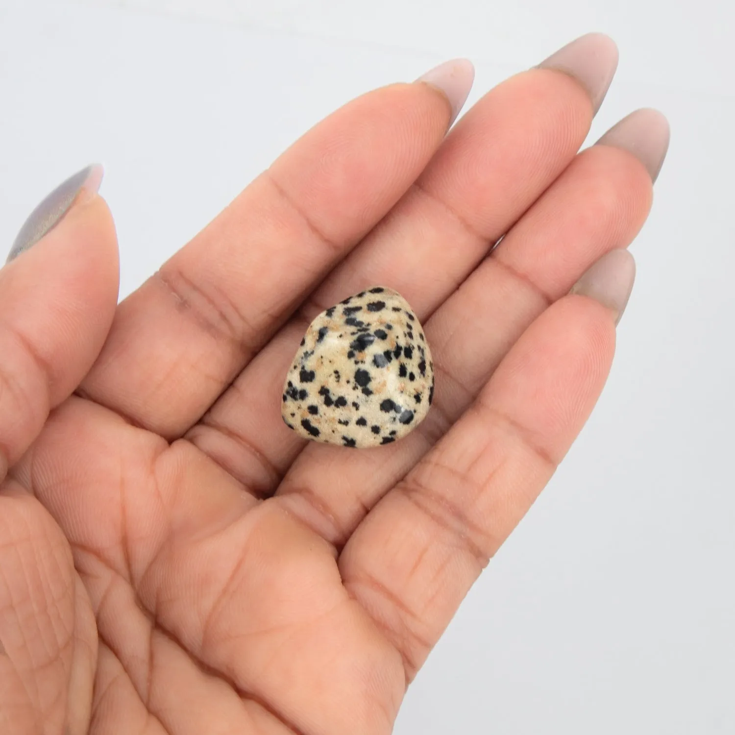 Dalmatian Jasper Stone